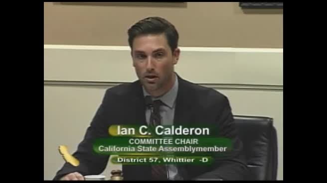 Assembly Standing Committee on Arts, Entertainment, Sports, Tourism, and Internet Media