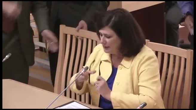 Senate Standing Committee on Business, Professions and Economic Development