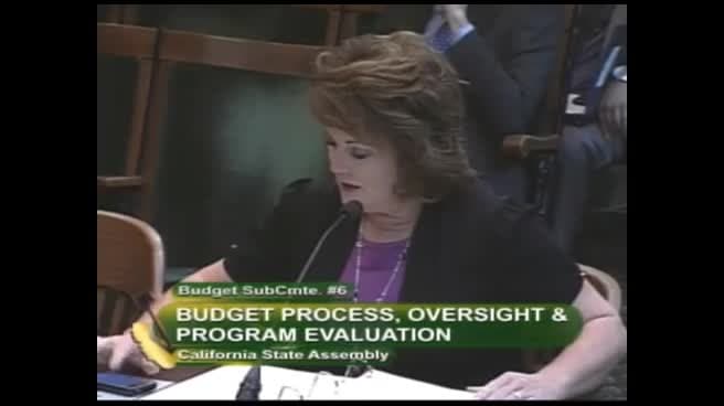 Assembly Budget Subcommittee No. 6 on Budget Process Oversight and Program Evaluation