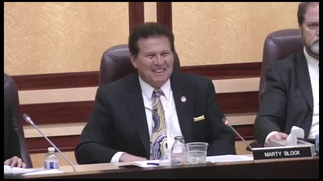 Preview image for BUD 6100