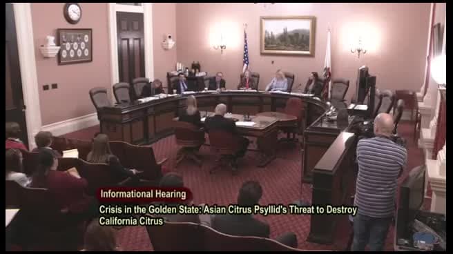 Preview image for NON 0