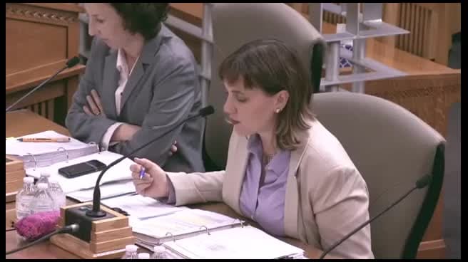 Senate Standing Committee on Budget and Fiscal Review