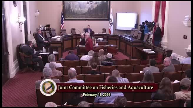 Preview image for NON 0