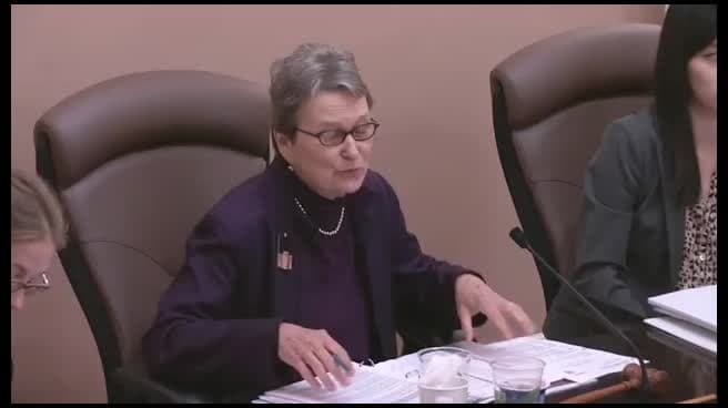 Preview image for BUD 7100