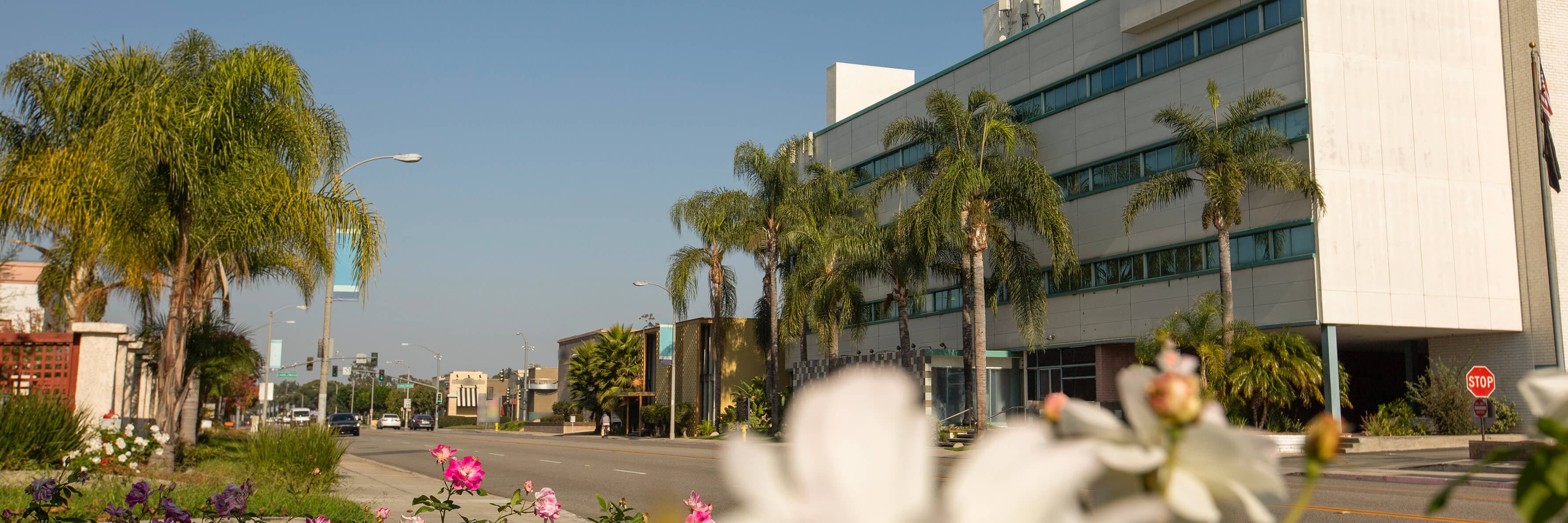 Day time ground level view of the central business district of downtown Lakewood, California, USA.